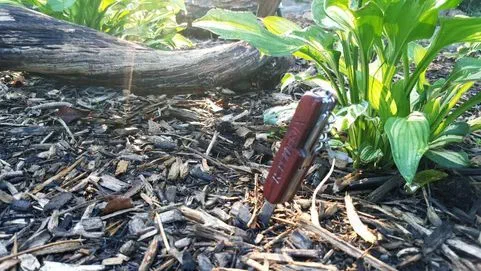 A red-painted wooden peg driven upright into wood-chip mulch in a garden bed, with hosta leaves behind it