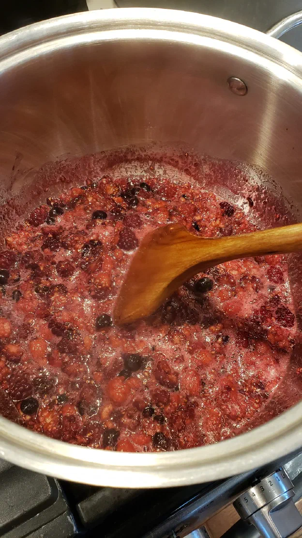 Now cook the mixture on the stove on medium heat until it starts boiling, then reduce to a simmer and cook for about an hour, stirring often.