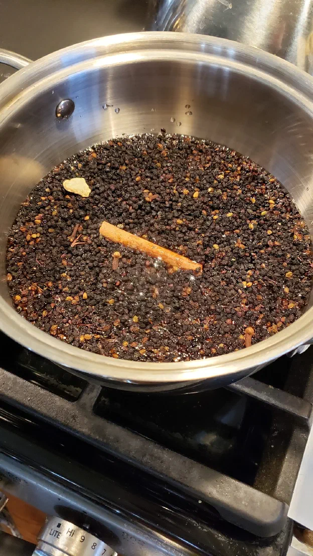 You start by getting some dried elderberries, about two full cups. Add a few cloves, one or two cinnamon sticks, a few bits of fresh ginger, and two cups of water.