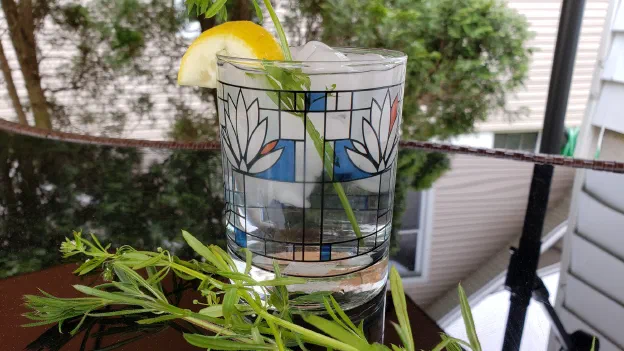 A tumbler of iced water with fresh cleavers steeping in it