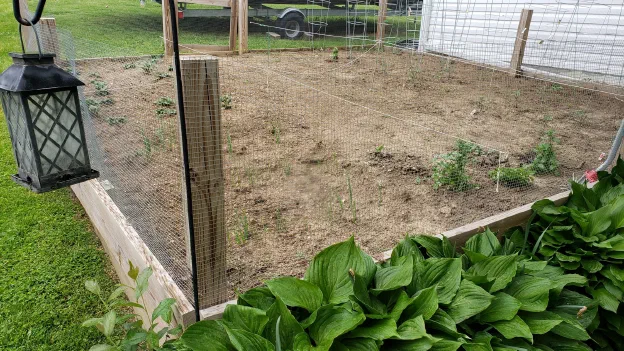 I know my vegetable garden doesn't look like much right now, but in a few weeks it will be lush and full.
