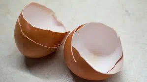Two halves of a broken brown eggshell