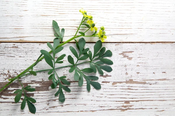 A cut sprig of rue with yellow flowers on weathered white boards